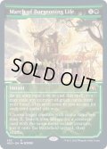 (FOIL)(ショーケース枠)芽吹く生命の行進/March of Burgeoning Life※コレクターブースター産《英語》【NEO】