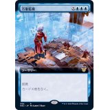 (フルアート)万象監視/Universal Surveillance《日本語》【NEC】
