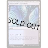 [EX+]ダークウォーターの地下墓地/Darkwater Catacombs《日本語》【Commander 2019】