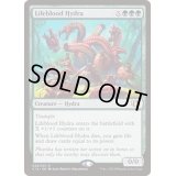 生命線のハイドラ/Lifeblood Hydra《英語》【Commander 2014】
