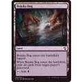 [EX+]ボジューカの沼/Bojuka Bog《英語》【Commander 2018】
