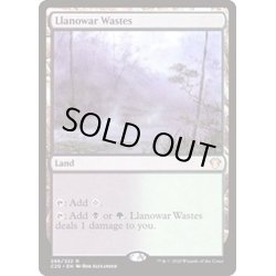 画像1: ラノワールの荒原/Llanowar Wastes《日本語》【Commander 2020】