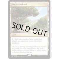 [EX+]風変わりな果樹園/Exotic Orchard《英語》【Commander 2020】