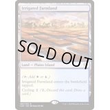 [EX+]灌漑農地/Irrigated Farmland《日本語》【Commander 2020】