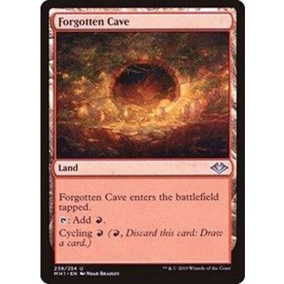 忘れられた洞窟/Forgotten Cave《日本語》【MH1】