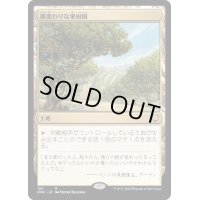 風変わりな果樹園/Exotic Orchard《日本語》【ONC】