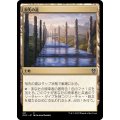 祖先の道/Path of Ancestry《日本語》【ONC】