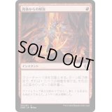 (FOIL)肉体からの解放/Free from Flesh《日本語》【ONE】