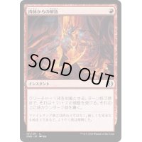 (FOIL)肉体からの解放/Free from Flesh《日本語》【ONE】