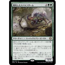 画像1: (FOIL)進化したスパイノダーム/Evolved Spinoderm《日本語》【ONE】