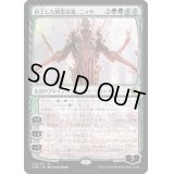 [HPLD]向上した精霊信者、ニッサ/Nissa, Ascended Animist《日本語》【ONE】