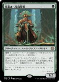 (FOIL)敬慕される腐敗僧/Venerated Rotpriest《日本語》【ONE】