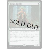 [EX]敬慕される腐敗僧/Venerated Rotpriest《日本語》【ONE】