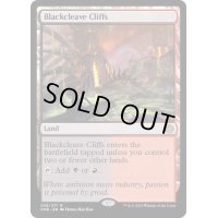 [EX+](FOIL)黒割れの崖/Blackcleave Cliffs《英語》【ONE】
