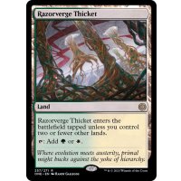 [EX+](FOIL)剃刀境の茂み/Razorverge Thicket《英語》【ONE】