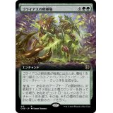 (フルアート)ゴライアスの孵卵場/Goliath Hatchery《日本語》【ONE】