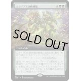 (FOIL)(フルアート)ゴライアスの孵卵場/Goliath Hatchery《日本語》【ONE】