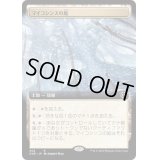 [EX+](フルアート)マイコシンスの庭/The Mycosynth Gardens《日本語》【ONE】