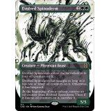 (ショーケース枠)進化したスパイノダーム/Evolved Spinoderm《英語》【ONE】