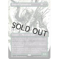 [EX+](ショーケース枠)進化したスパイノダーム/Evolved Spinoderm《英語》【ONE】