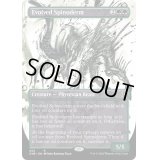 (ステップアンドコンプリートFOIL)(ショーケース枠)進化したスパイノダーム/Evolved Spinoderm《英語》【ONE】