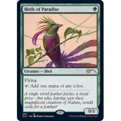 画像1: (092)極楽鳥/Birds of Paradise《英語》【SLD】