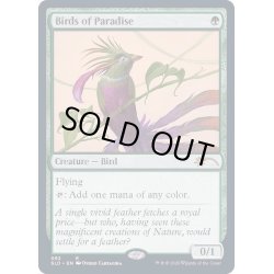 画像1: (092)極楽鳥/Birds of Paradise《英語》【SLD】