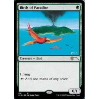 (176)極楽鳥/Birds of Paradise《英語》【SLD】