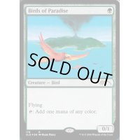[EX](176)極楽鳥/Birds of Paradise《英語》【SLD】
