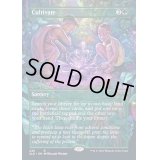 [EX+](FOIL)耕作/Cultivate《英語》【SLD】