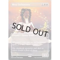 [EX+]メサの女魔術師/Mesa Enchantress《英語》【SLD】