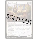 [EX+](FOIL)威厳あるカラカル/Regal Caracal《英語》【SLD】