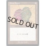 [EX+]グルールの印鑑/Gruul Signet《英語》【SLD】