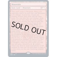 [EX+](FOIL)(257)山/Mountain《英語》【SLD】