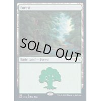 [EX+](FOIL)(108)森/Forest《英語》【SLD】