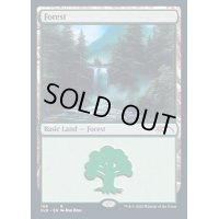 [EX+](FOIL)(109)森/Forest《英語》【SLD】