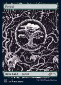(FOIL)(243)森/Forest《英語》【SLD】
