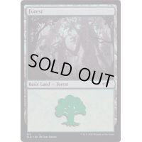 [EX+](FOIL)(572)森/Forest《英語》【SLD】