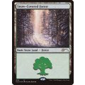 [EX](FOIL)(005)冠雪の森/Snow-Covered Forest《英語》【SLD】