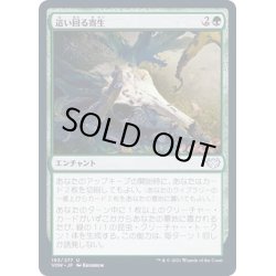 画像1: (FOIL)這い回る寄生/Crawling Infestation《日本語》【VOW】