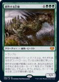 (FOIL)耕作する巨躯/Cultivator Colossus《日本語》【VOW】