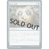 (FOIL)魔女の巣網/Witch's Web《日本語》【VOW】