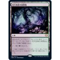 [EX](FOIL)死天狗茸の林間地/Deathcap Glade《日本語》【VOW】