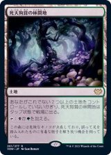 (FOIL)死天狗茸の林間地/Deathcap Glade《日本語》【VOW】