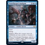 過充電縫合体/Overcharged Amalgam《英語》【VOW】