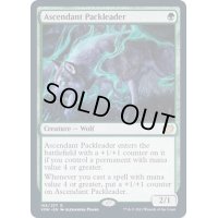 [EX+](FOIL)隆盛な群れ率い/Ascendant Packleader《英語》【VOW】