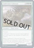 [EX+](FOIL)耕作する巨躯/Cultivator Colossus《英語》【VOW】