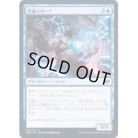 (FOIL)貯蔵スカーブ/Repository Skaab《日本語》【VOW】