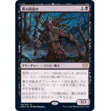 (FOIL)墓の肉裂き/Graf Reaver《日本語》【VOW】