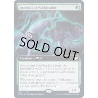 [EX+](FOIL)(フルアート)隆盛な群れ率い/Ascendant Packleader《英語》【VOW】